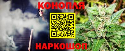 дживик Гатчина