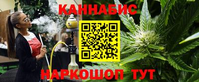 сатива Гай