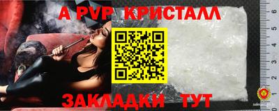 сатива Гай
