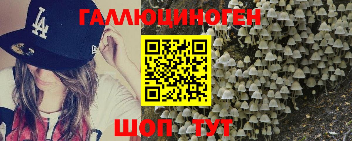 Моздок  Альфа ПВП СОЛЬ   Конопля  Вход с VPN  ГАШ  Мефедрон  