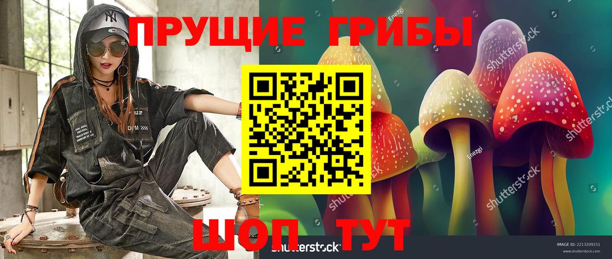 Галлюциногенные грибы Cubensis  Вход с VPN  Псилоцибиновые грибы GOLDEN TEACHER  Моздок 